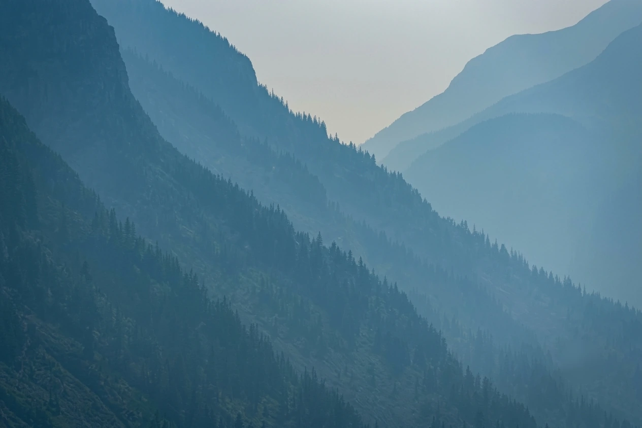 Forested mountain slopes fading into blue atmospheric haze
