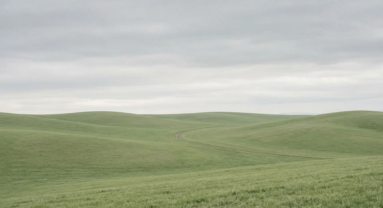 Rolling open fields under a soft grey sky, a single track curving toward the horizon